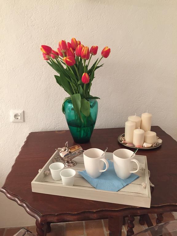 ロクブリュヌ＝カップ＝マルタンカサ アザアパートメント 部屋 写真